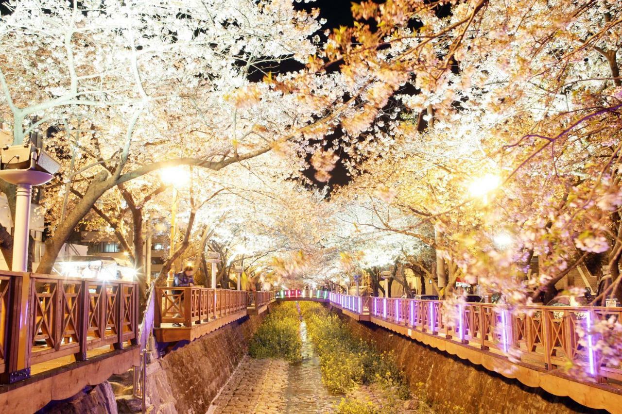 Hotel Avenue Чханвон Экстерьер фото